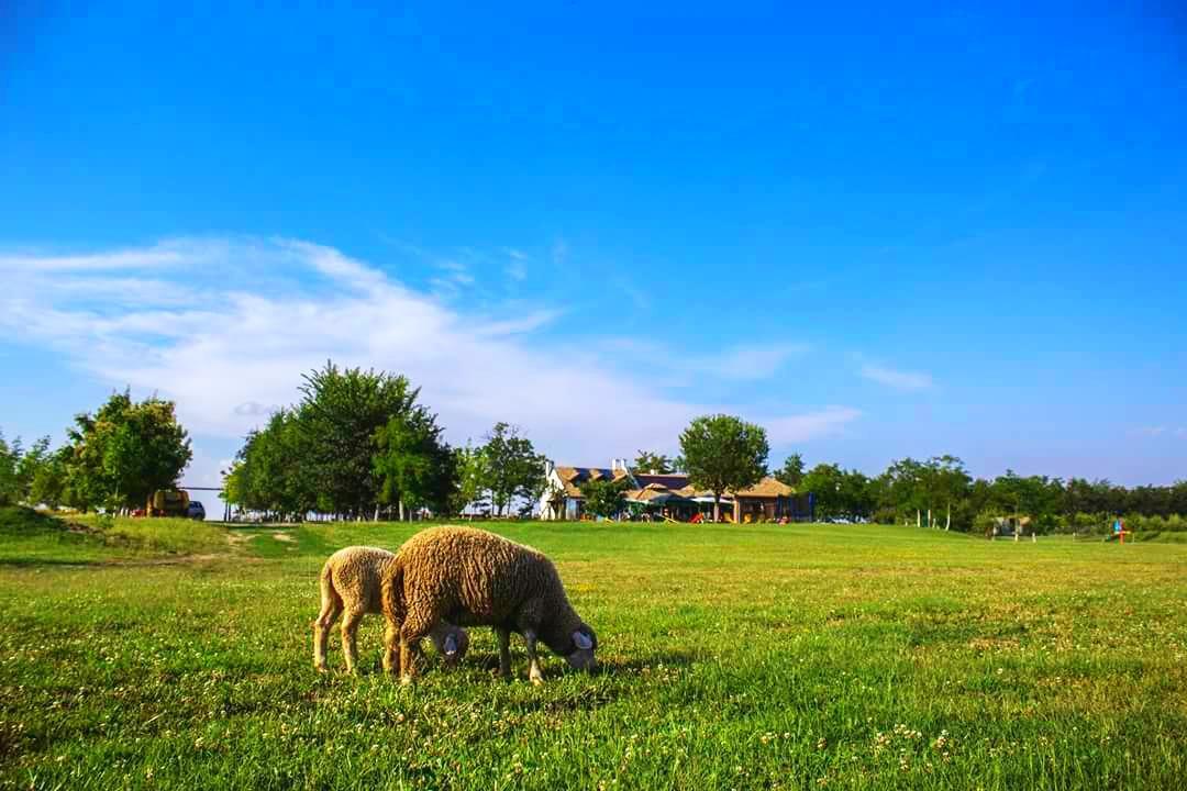 Salas Tatic Hotel Turija ภายนอก รูปภาพ